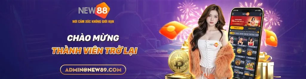 Chương trình VIP Winvn11